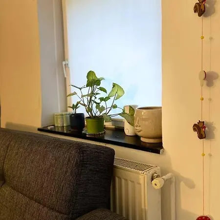 Pallet Bed With Lights Small * Κλουζ-Ναπόκα