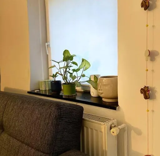 Pallet Bed With Lights Small * 클루지나포카